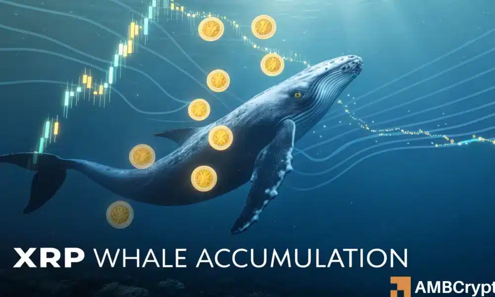 Whales snatch up 2 million XRP in two weeks: Is closer than you think?
