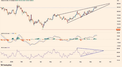 在将312,233 SOL 存入 Coinbase 后，Solana 面临严重抛售压力 —— 这就是其真正价值？