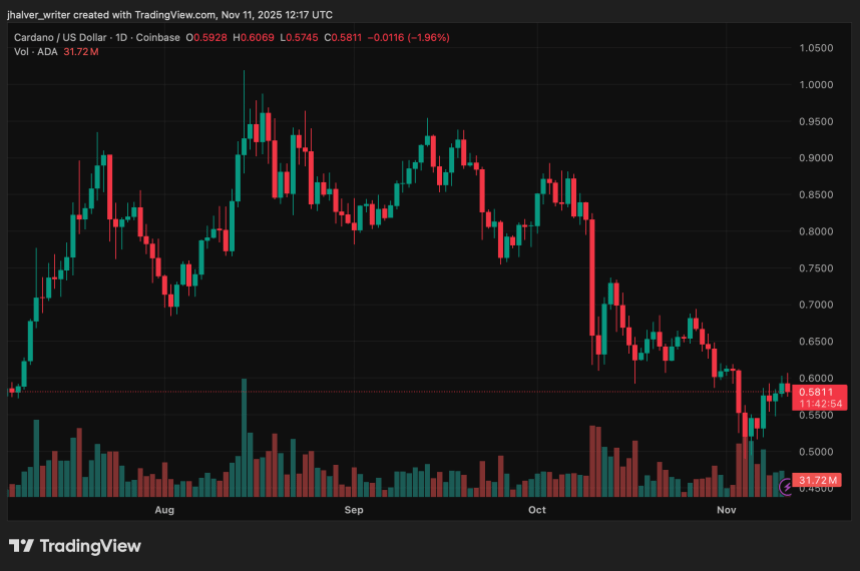 Cardano (ADA) DeFi TVL Hits Three-Year High, Whales Increase Holdings by 348 Million Tokens